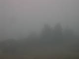 09 : 21