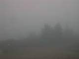 09 : 29