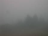 09 : 45