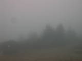 13 : 29