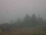 14 : 13