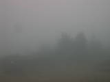 14 : 29