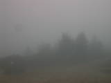 14 : 41