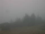 14 : 49
