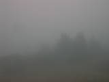 15 : 01