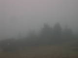 15 : 17