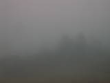 15 : 25