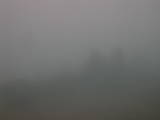 15 : 29