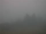 16 : 25