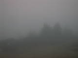 17 : 03