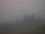 17 : 15