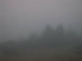 17 : 17