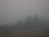 17 : 19