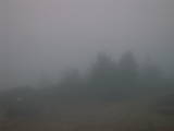 17 : 25