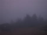 07 : 03