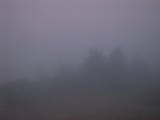 07 : 11