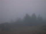 07 : 17
