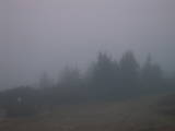 07 : 19