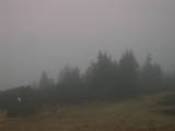 08 : 03