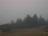 08 : 29
