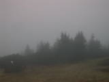 08 : 39