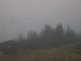 08 : 41