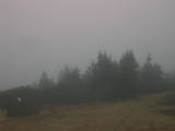 08 : 49
