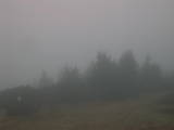 09 : 05
