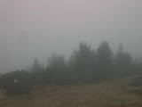 14 : 45