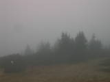 14 : 49