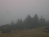 16 : 33