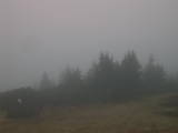 16 : 37