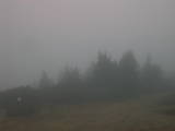 16 : 45