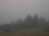 16 : 49
