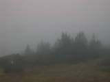 16 : 57