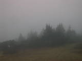 17 : 03