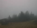 17 : 11