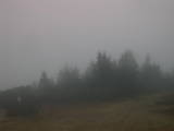 17 : 15