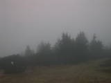 17 : 33