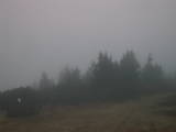 17 : 35