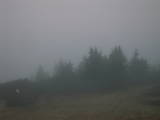 17 : 45