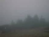 17 : 47