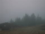 17 : 53