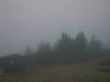 17 : 55