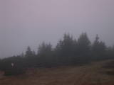 18 : 09