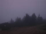 18 : 25