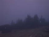06 : 49