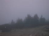 07 : 19