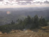 15 : 29