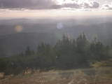 16 : 25